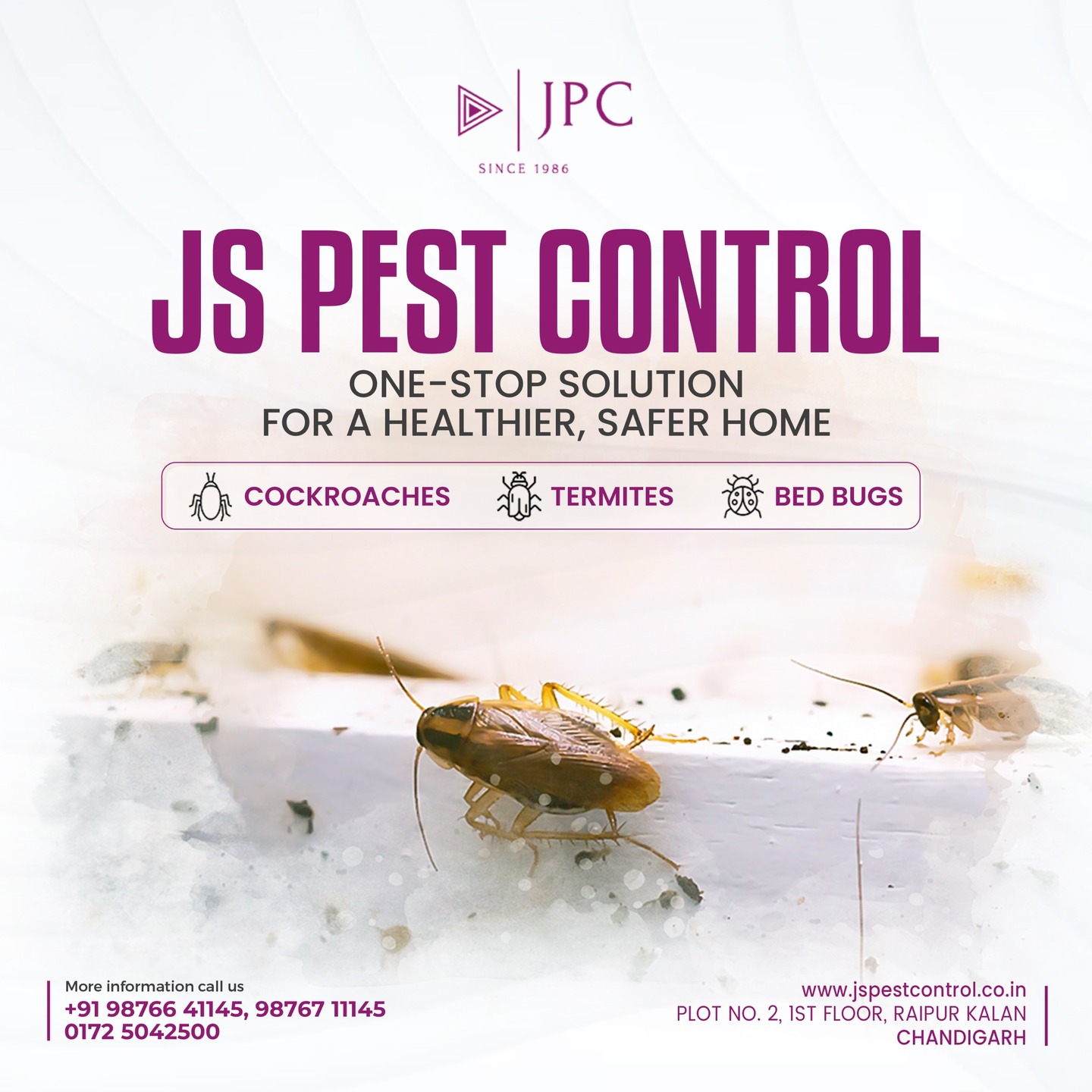 🐜🏠 JS Pest Control – Complete Pest Protection for Your Peace of Mind! 🚫✨

Say goodbye to unwanted pests and hello to a cleaner, safer space with JS Pest Control. Whether it's cockroaches, termites, rodents, mosquitoes, or bed bugs, we offer professional pest control solutions tailored to your needs.

✅ Safe & Eco-Friendly Treatments
✅ Residential & Commercial Services
✅ Fast, Effective & Long-Lasting Results
✅ Experienced & Trusted Team

Protect your home or business from harmful pests—choose JS Pest Control for reliable and hassle-free service!
.
.
#JSPestControl #PestFreeLiving #SafeAndClean #TermiteTreatment #RodentControl #HomeProtection