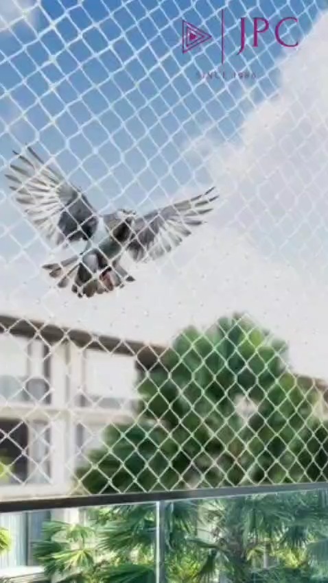 🐦🚫 Keep Birds Away with JS Pest Control’s Bird-Proofing Solutions! 🏠✨

Unwanted birds nesting in your property can cause mess, damage, and hygiene issues. Let JS Pest Control help you block them out effectively and safely!

✅ Prevent Birds from Nesting in Vents, Balconies & Roofs
✅ Safe, Humane, and Long-lasting Bird-Proofing Solutions
✅ Protect Your Property from Damage and Mess

Say goodbye to bird-related hassles and enjoy a clean, safe space. 🌟 Contact JS Pest Control today for professional bird control services!

📞 Call or DM us now to book your service!