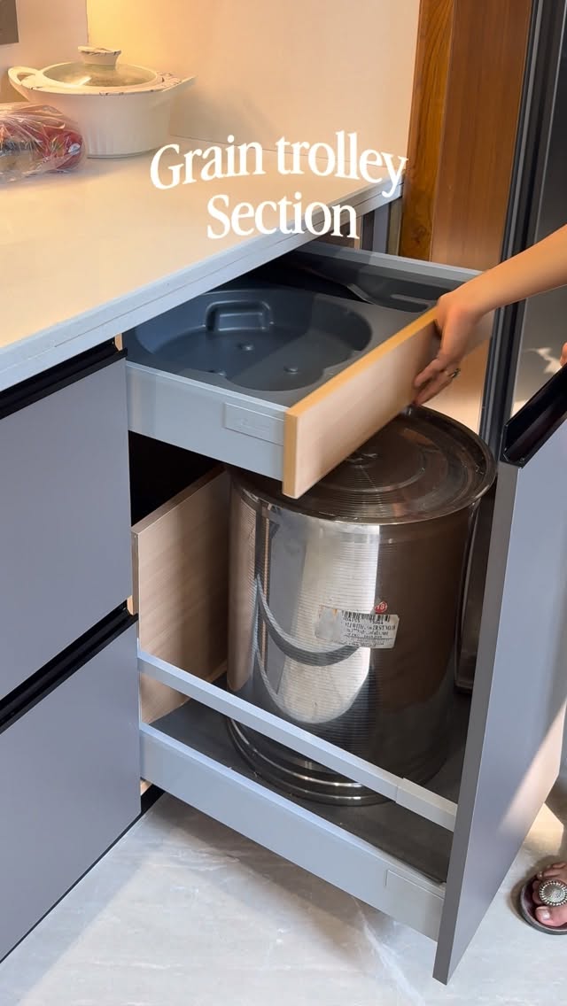 Grain trolley cabinet 
.
.
.
(modular kitchen, India, luxury kitchen design, smart storage kitchen, modern home interiors. kitchen transformation, home, upgrade ideas, interior desian trends, premium kitchen, trendina, viral, reel, explore page, trending song, home improvement tips, interiors, interior design, house kitchens, new kitchens, luxury, tricity)
.
.
.
#explorepage #fyp #trending #reels #viral